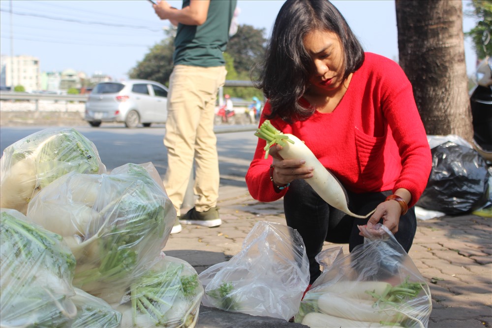 Nhóm tình nguyện gom củ cải thành mỗi túi 5kg.
