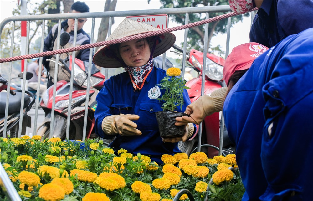 Lễ hội do UBND thành phố Hà Nội, Đại sứ quán Nhật Bản và Cty CP Tiến bộ Quốc tế AIC đồng phối hợp tổ chức.  Hiện nay công tác chuẩn bị đang được xúc tiên để hoàn tất kịp thời.