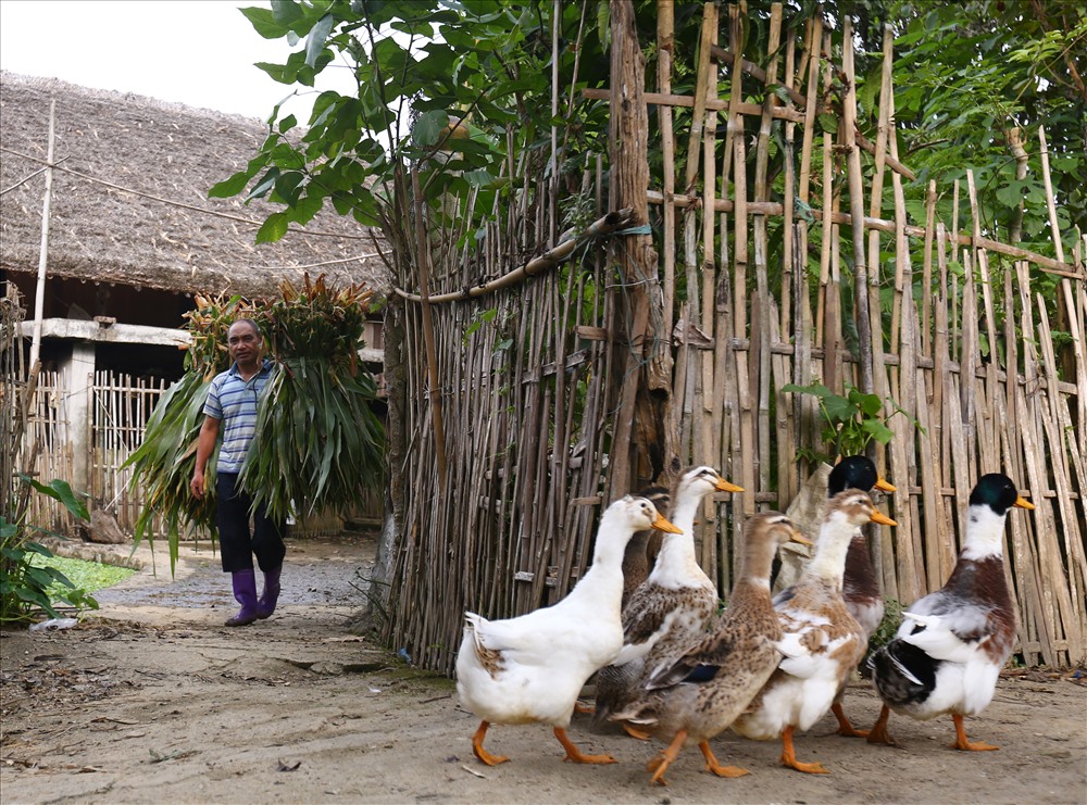 Đến bản Tha hay bản Hạ Thành ngoài cảnh đẹp, du khách còn được dạo bước trong một không gian sống rất đỗi yên bình của bà con dân tộc ở nơi đây.