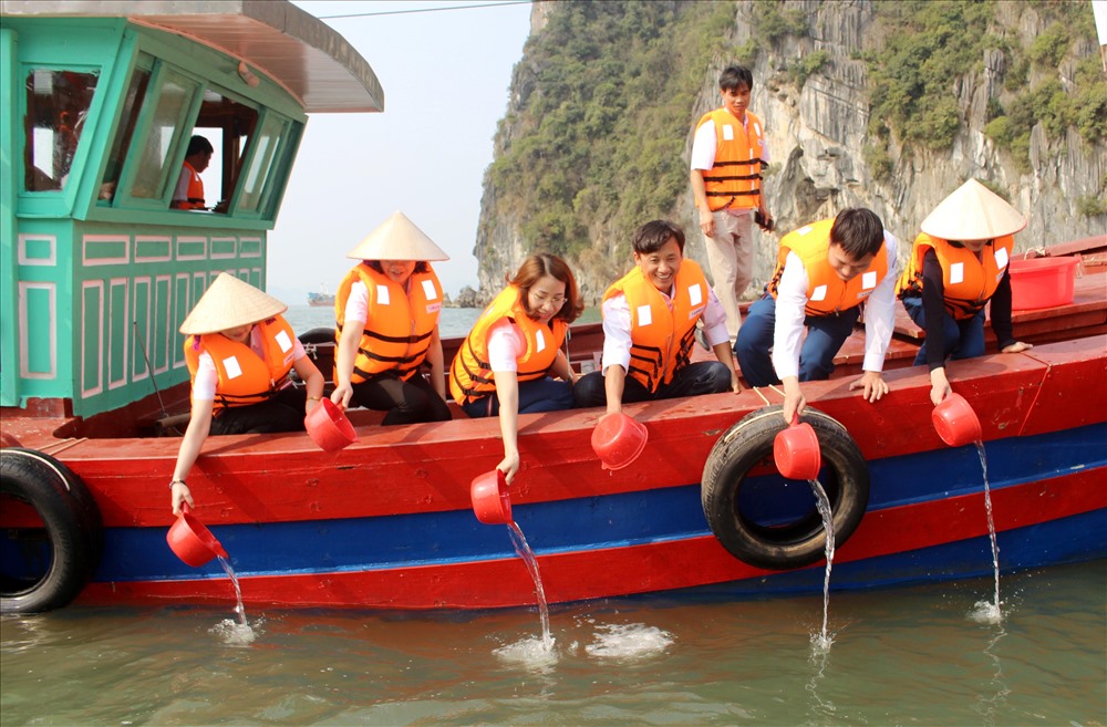 Cán bộ, nhân viên Ban Quản lý vịnh Hạ Long tham gia thả cá giống. Ảnh: Nguyễn Hùng