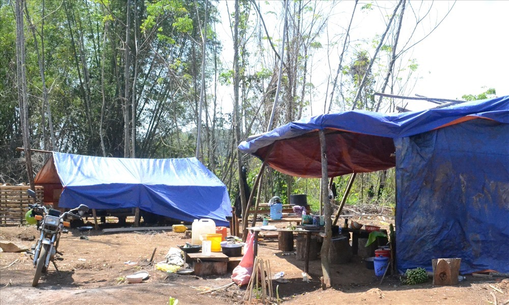 Nhiều lán trại trái phép được các đối tượng lập lên trong rừng.