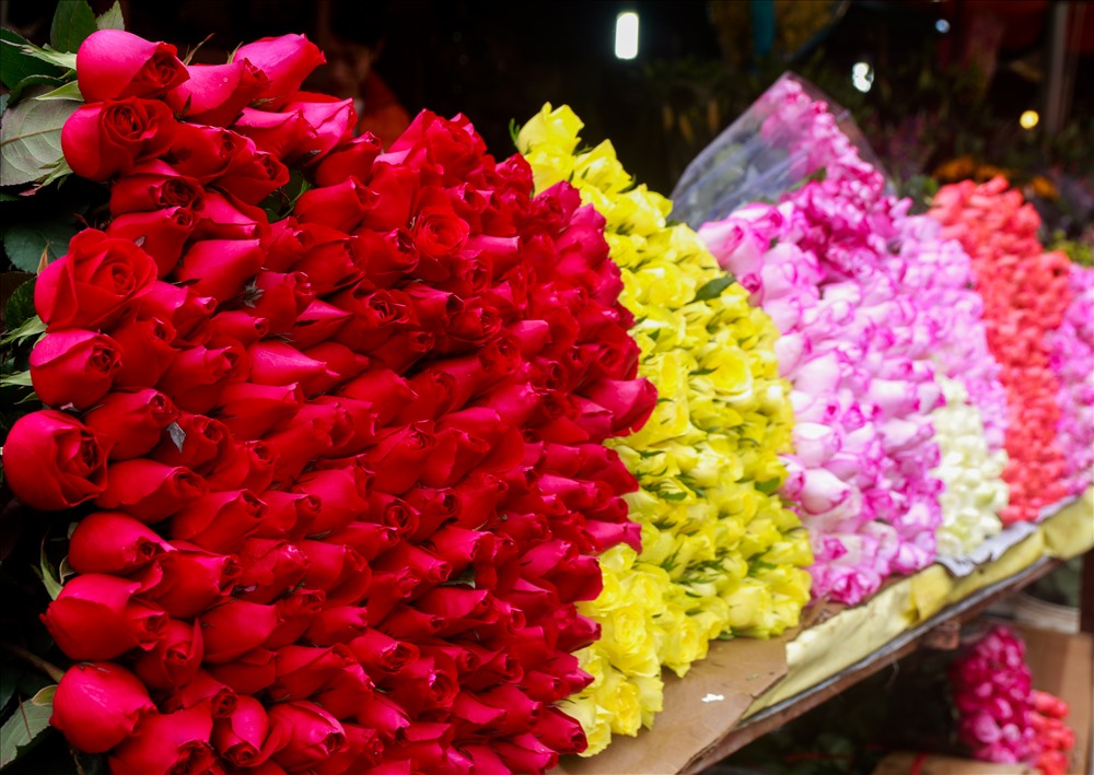 Những ngày cận kề 8.3 giá hoa hồng tăng mạnh. Hoa hồng đỏ có giá 10.000 - 15.000/ bông tại chợ đầu mối