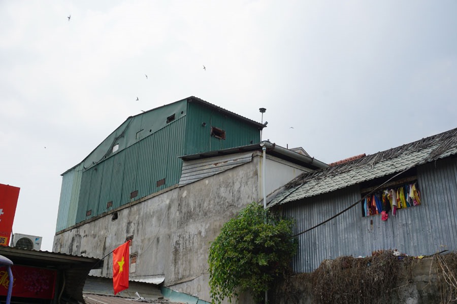 Chim yến bay trên một nhà yến nằm trên đường Vườn Lài (phường An Phú Đông, Q.12, TPHCM). Ảnh: MQ