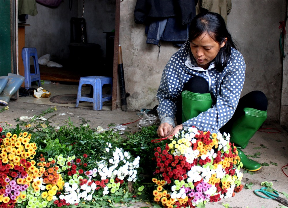 Chị Thu (39 tuổi, Tây Tựu) có thâm niên trong nghề trồng hoa chia sẻ: “Với bó hoa cúc nhật này trong Tết bán 200.000/bó thì hiện nay chỉ bán được 50.000/bó. Thời tiết ấm thế này hoa nở nhiều thị trường không tiêu thụ hết được”