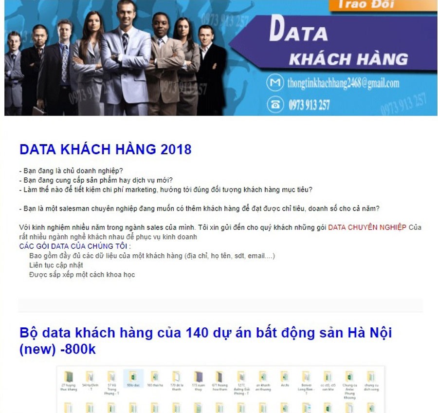 Những lời quảng cáo đầy hấp dẫn được đưa lên các trang web viết thuê luận văn. Ảnh: P.V