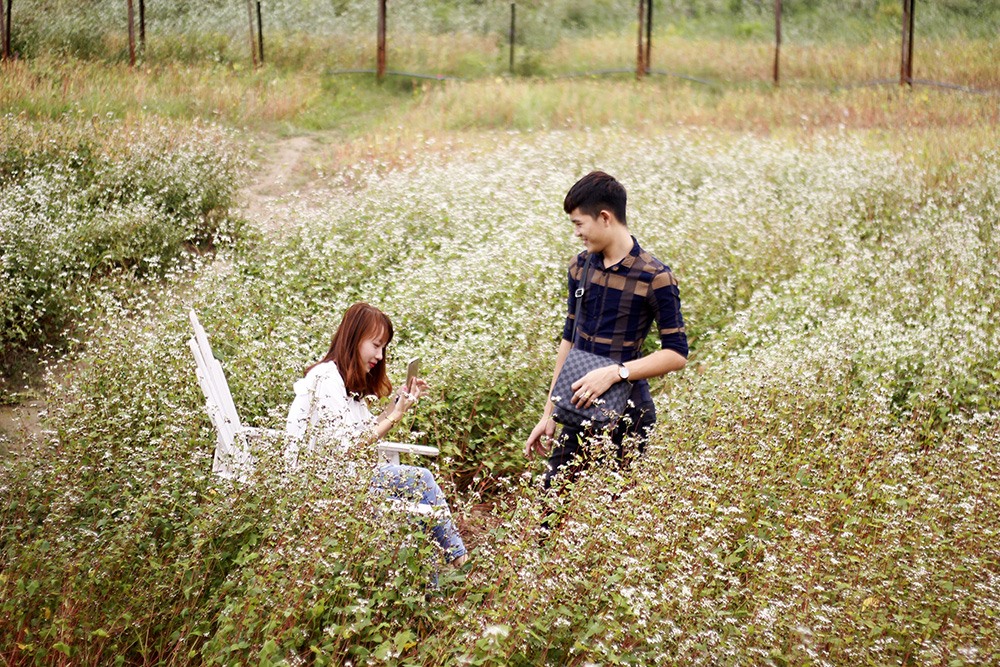 Thông qua mạng xã hội, nhiều bạn trẻ nhanh chóng biết đến cánh đồng hoa tam giác mạch ở Long Biên.