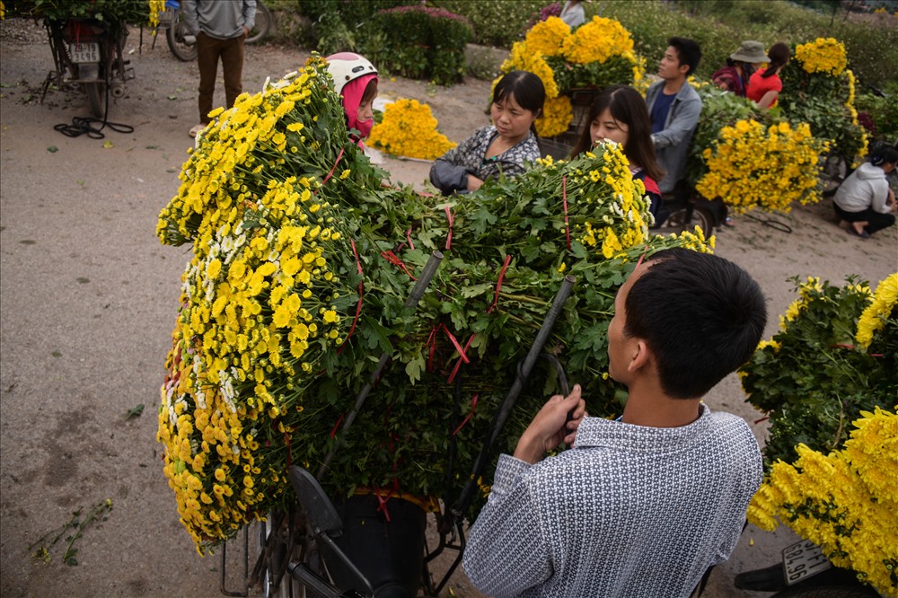 Tại chợ Nhà Gác, nơi trao đổi buôn bán chủ yếu của người dân Tây Tựu, giá hoa cúc ghi nhận trung bình từ 30.000đ đến 40.000đ/ bó 50 bông. 