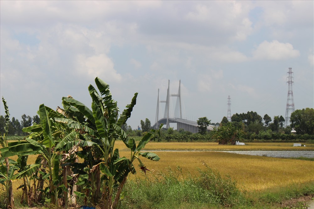 Cầu Cao Lãnh sẽ tạo thêm động lực cho vùng Đồng bằng sông Cửu Long phát triển.