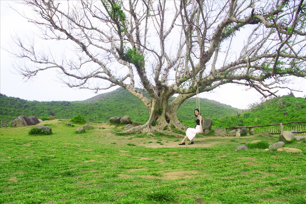 Mô hình trang trại tổng hợp của 1 thanh niên trẻ  Farmvina Nông Nghiệp