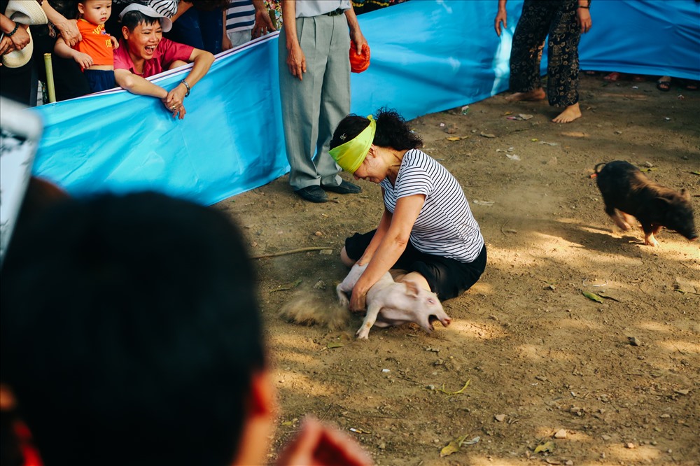 Ai bắt được lợn được nhận giải thưởng từ ban tổ chức.