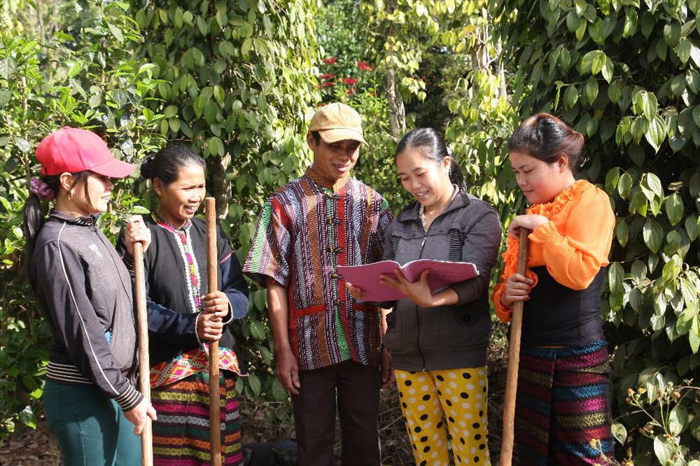 Phụ nữ dân tộc ở Khe Sanh được tập huấn, chuyển giao kỹ thuật để trồng tiêu, cà phê xuất khẩu. Ảnh: L.C