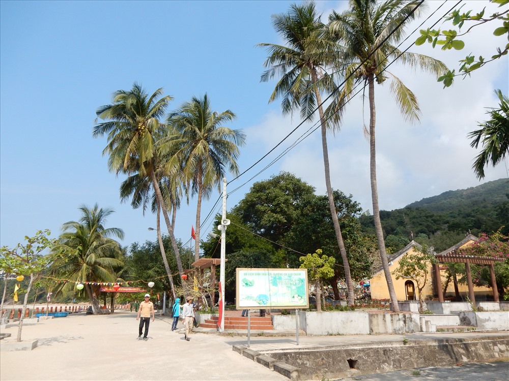 “Vườn dừa ông Sự” ở bãi Ông được trồng từ năm 2007, hiện vẫn là bãi tắm công cộng, dành cho cả cộng đồng hưởng.