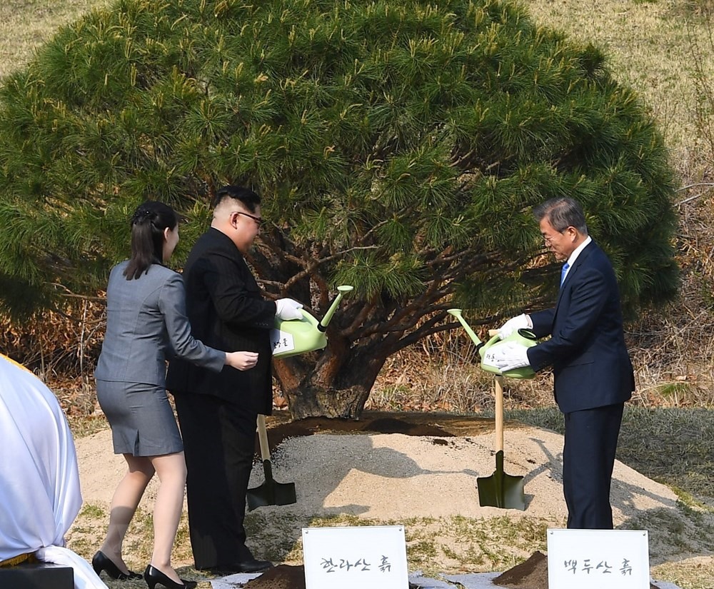 Tổng thống Hàn Quốc Moon Jae In và nhà lãnh đạo Triều Tiên Kim Jong-un trồng cây hòa bình tại làng đình chiến Panmunjom. Ảnh: TTXVN