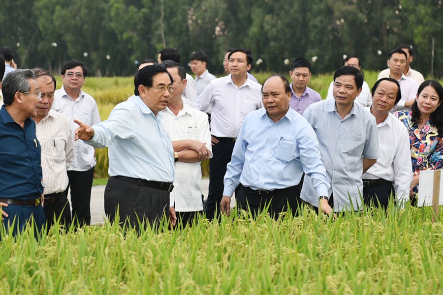 Thủ tướng Nguyễn Xuân Phúc thăm các cánh đồng mẫu, trồng các giống lúa mới của một trung tâm nghiên cứu nông nghiệp tại An Giang. Ảnh: Q.H