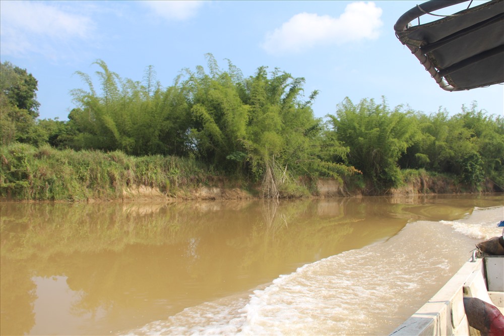 Phía bờ sông Đồng Nai thuộc Vườn quốc gia Cát Tiên cũng trở thành nạn nhân khi bờ sông bị sạt lở