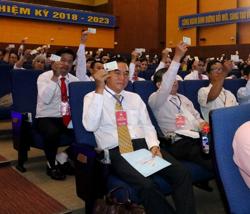 Đại hội có 435 đại biểu chính thức, đại diện cho hơn 700 ngàn đoàn viên và 1 triệu CNVC-LĐ trong toàn tỉnh