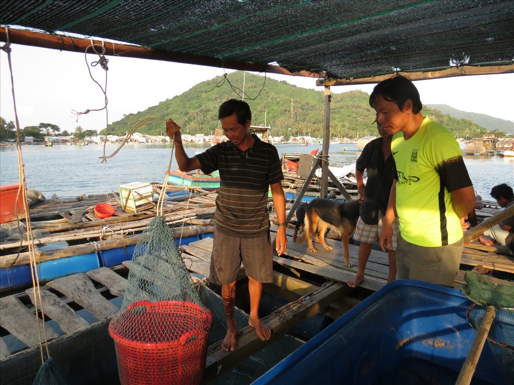 Du khách có thể đặt cá mang về, hẹn giờ ra tàu, chủ lồng bè sẽ mang đến tận nơi rồi mới lấy tiền
