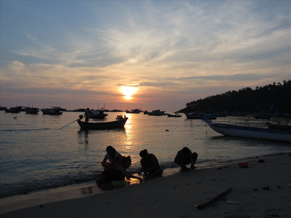Chiều về trên đảo