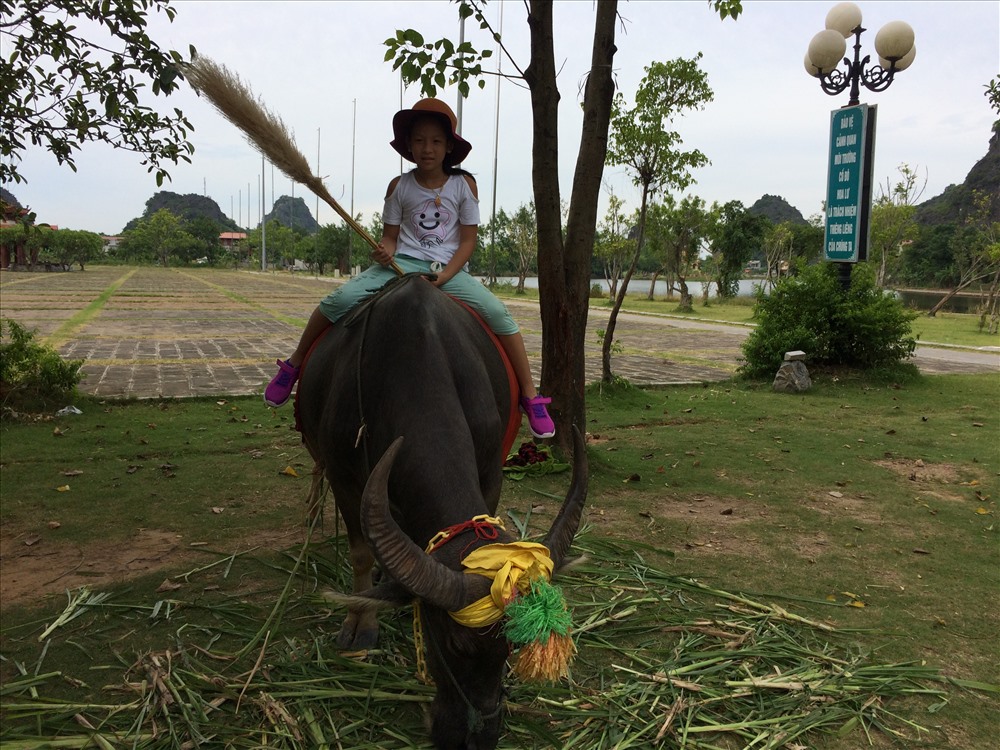 Cầm cờ lau, cưỡi trâu đánh trận giả - hình ảnh thời niên thiếu của Vua Đinh Tiên Hoàng được tái hiện làm sản phẩm du lịch tại Cố đô Hoa Lư. Ảnh: THANH HẢI