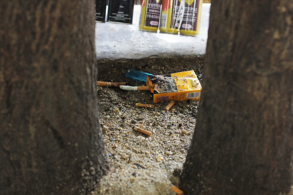 Tàn thuốc lá, vỏ bao thuốc lá vứt đầy ở các gốc cây xung quanh khu vực bến xe Mỹ Đình.