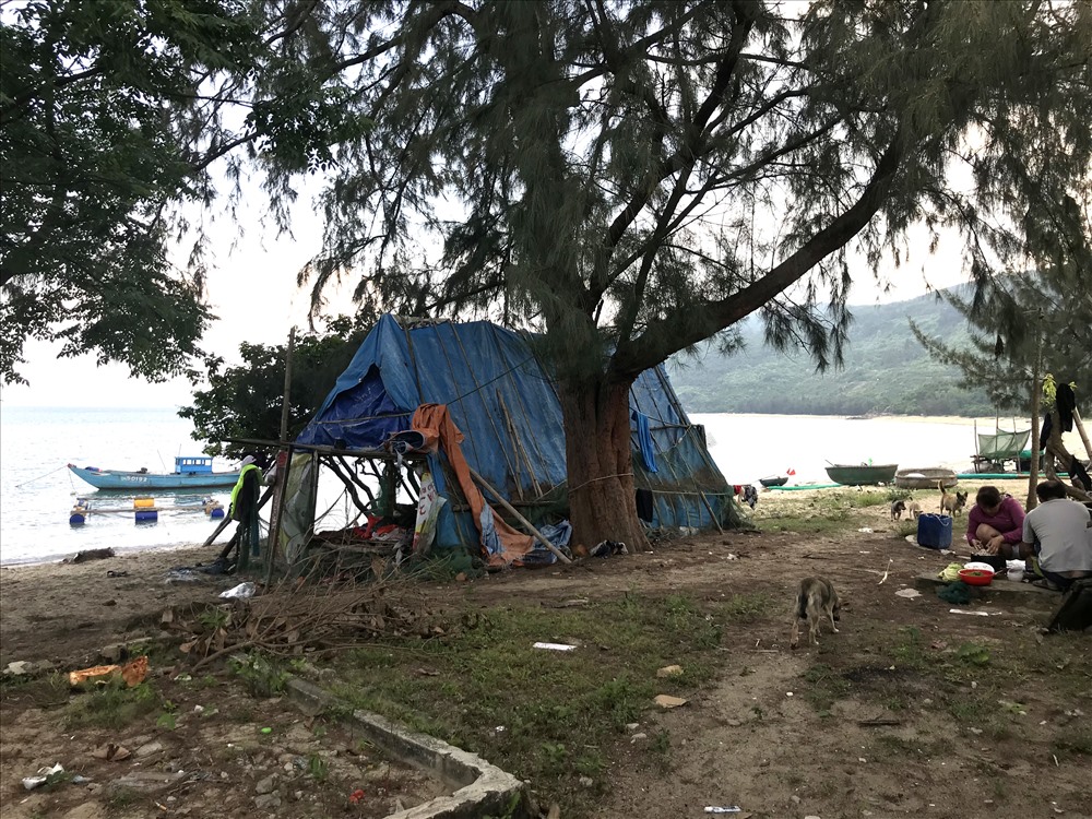 Những “người làng Vân” quay về quê cũ để dựng trại trú bên bờ biển. Ảnh: H.V.M