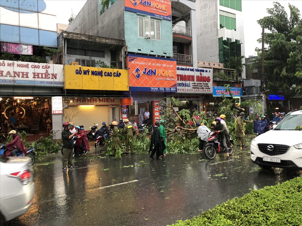 Tổ phản ứng nhanh khu vực sân bay Tân Sơn Nhất trong một lần dọn dẹp cây xanh đổ ra đường. 