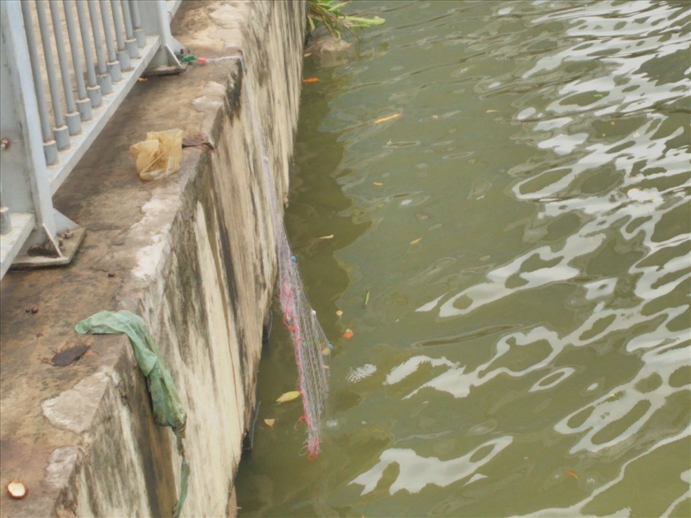 Một tay lưới đước người dân thả xuống kênh Nhiêu Lộc-Thị Nghè để bắt cá.