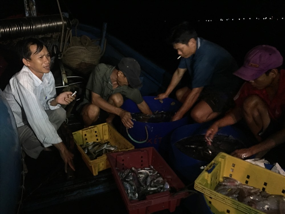 Tác giả (áo trắng, bên trái) phỏng vấn ngư dân phân loại hải sản vừa đánh bắt trên biển đêm.