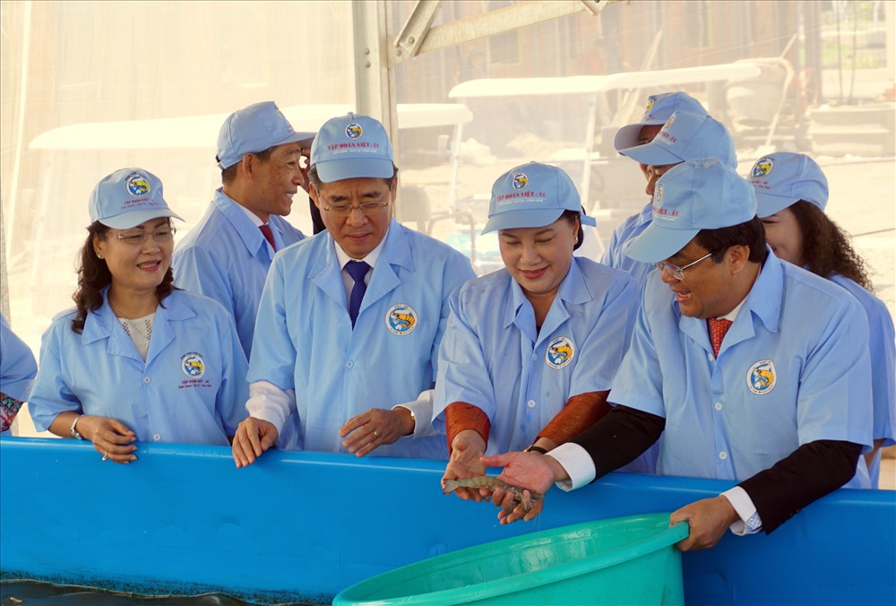 Chủ tịch Quốc hội Nguyễn Thị Kim Ngân thăm nơi sản xuất tôm tại Tập đoàn Việt úc Bạc Liêu (ảnh Nhật Hồ)
