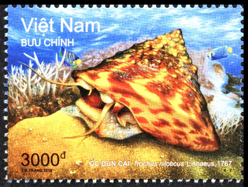 Phát hành đặc biệt bộ tem “Biển, đảo Việt Nam: Sinh vật biển”