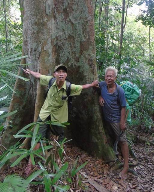 Với sự giúp đỡ của người dân địa phương, anh Bùi Công Thừa, Khu bảo tồn thiên nhiên Bắc Hướng Hóa (huyện Hướng Hóa, tỉnh Quảng Trị) đã giữ được rừng nhờ... rựa. Ảnh: TV.