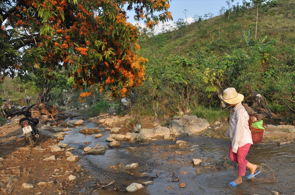 Hoa dại ở làng Hoa, Nam Giang, Quảng Nam. Ảnh: Thanh Hải