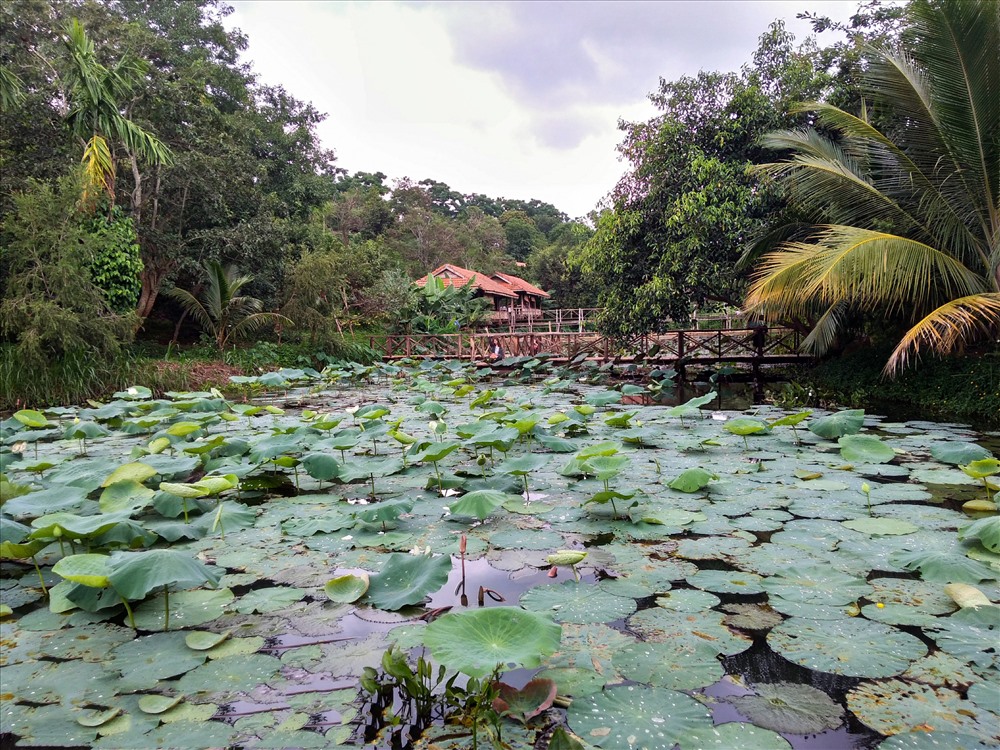 Chị Tuệ Bích, du khách đến từ Đà Lạt, cho biết: “Ở Tây Nguyên, thiên nhiên thật sự rất hữu tình. Đến với Kotam, bản thân tôi cảm thấy nơi đây ngoài việc là một khu nghỉ dưỡng sinh thái thì nó còn là một nơi lưu giữ nền văn hóa lâu đời của người Ê đê. Tôi tin rằng, nếu được chú trọng đầu tư hơn nữa thì có lẽ Kotum sẽ trở thành một trong những địa điểm du lịch trọng điểm của khu vực Tây Nguyên.”
