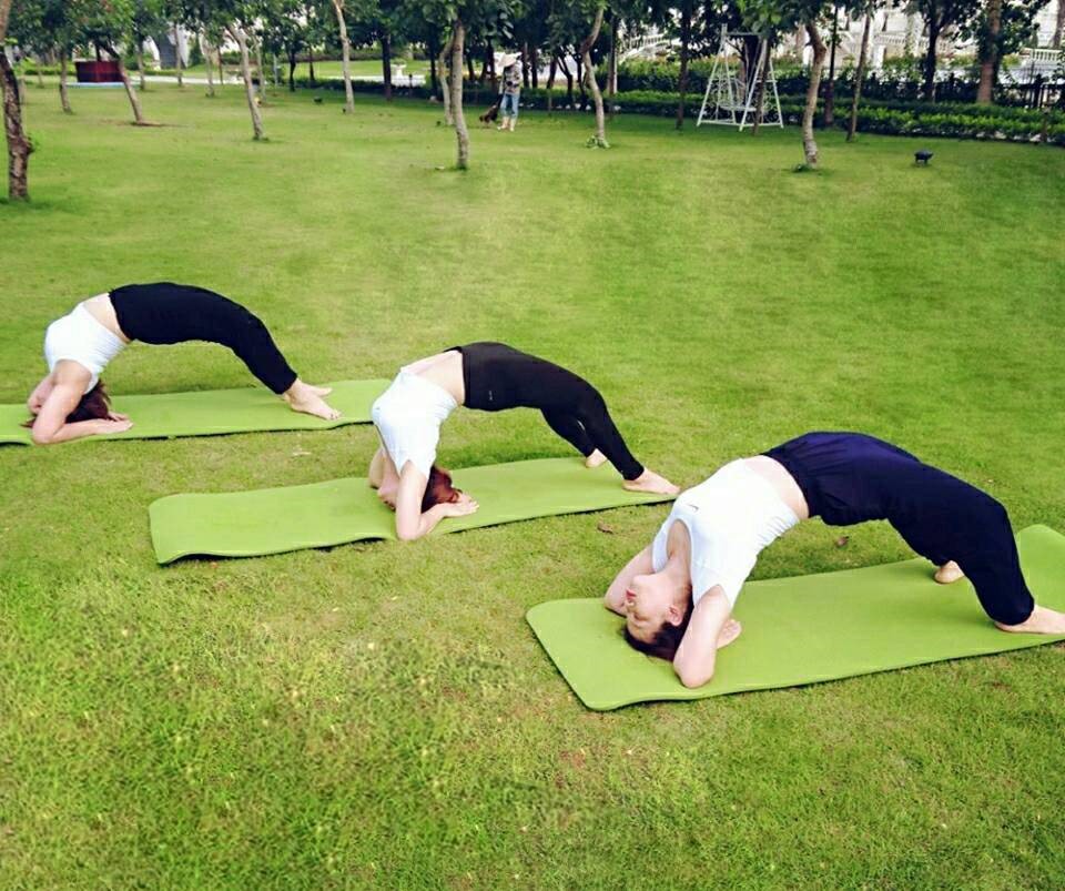 Các du khách nữ đã có một buổi chiều tuyệt vời với những bài tập Yoga ngoài trời giữa không gian thiên nhiên xanh. Yoga ngoài trời là phương pháp rất hữu hiệu để “xả stress” và duy trì sự dẻo dai