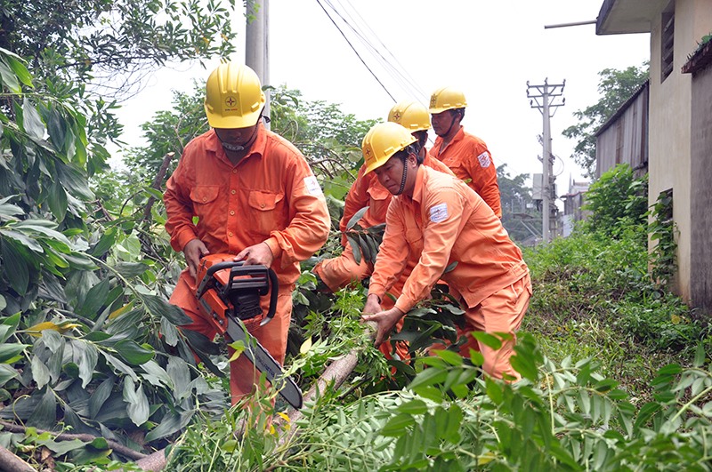 Phát quang hành lang bảo vệ an toàn công trình lưới điện cao áp - Ảnh: Hoa Việt Cường