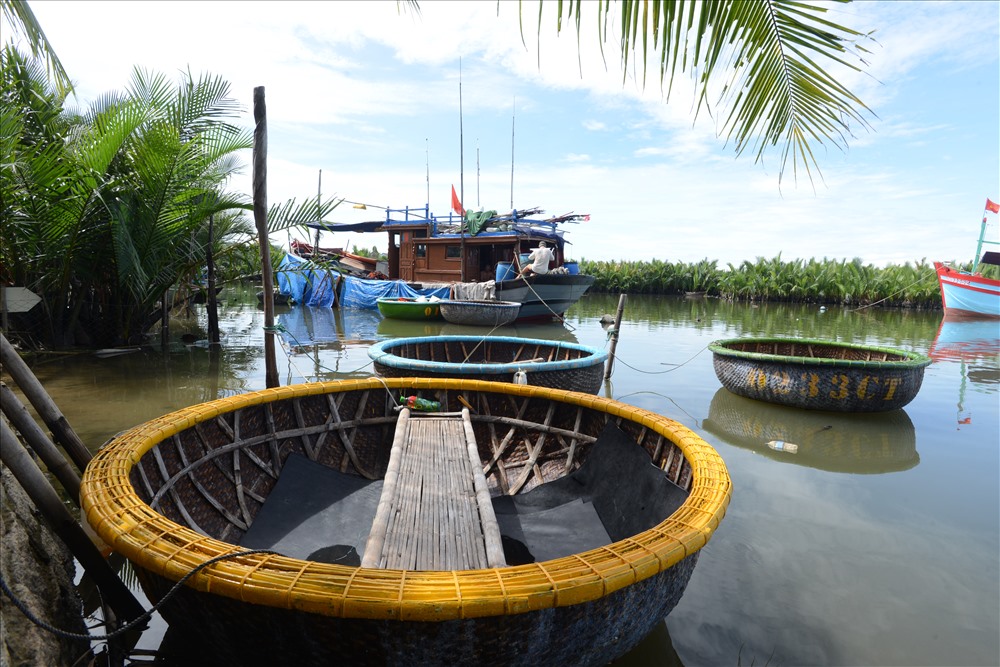 Những con thuyền đánh cá biển về neo đậu giữa rừng dừa nước Cẩm Thanh. 