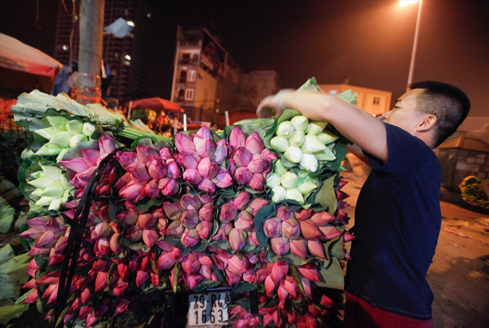 Chợ hoa nhộn nhịp với những chiếc xe chở hoa sen tấp nạp ra vào. 
