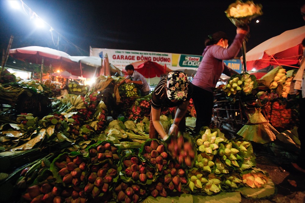 Các tiểu thương bán hoa sen ở chợ Quảng Bá luôn tất bật trong nhữngnhững ngày này. 