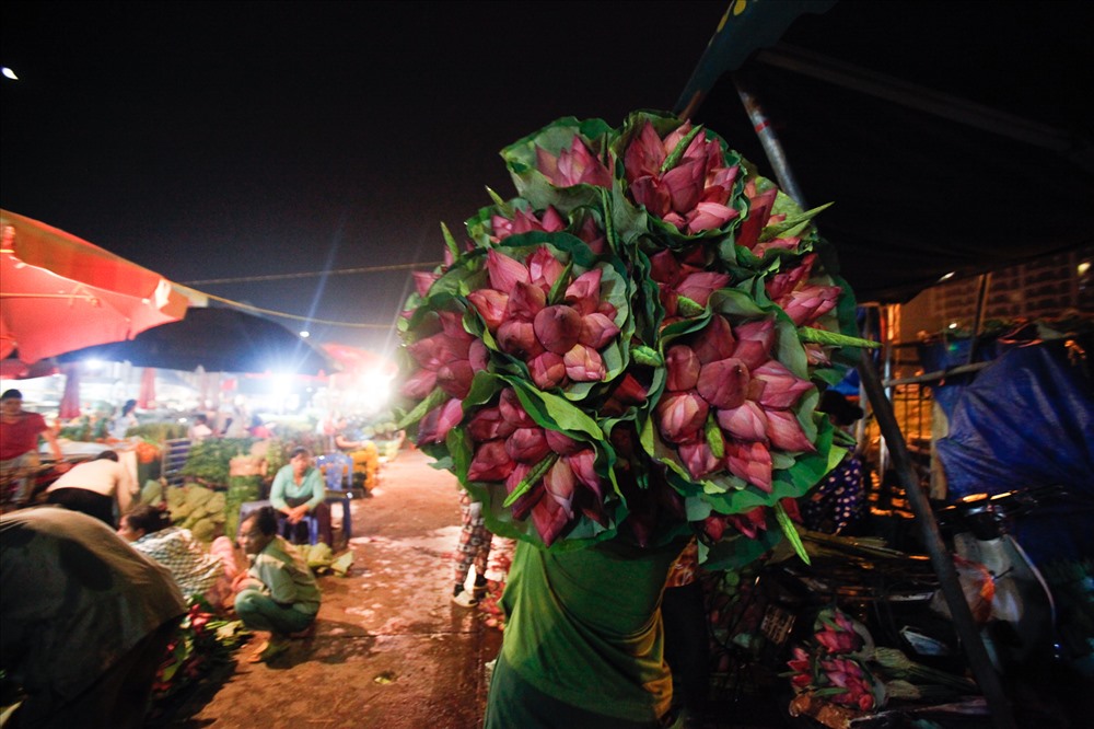 Đây là mùa hoa sen nên mặt hàng này là chủ đạo ở chợ hoa Quảng Bá. 