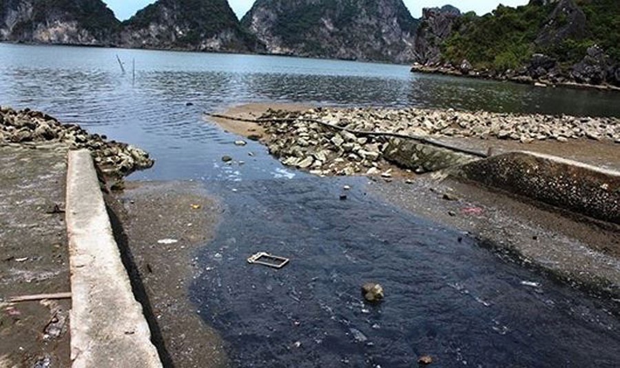 Nước thải sinh hoạt hôi thối hàng ngày đổ thẳng ra vịnh Hạ Long. Ảnh: A.C