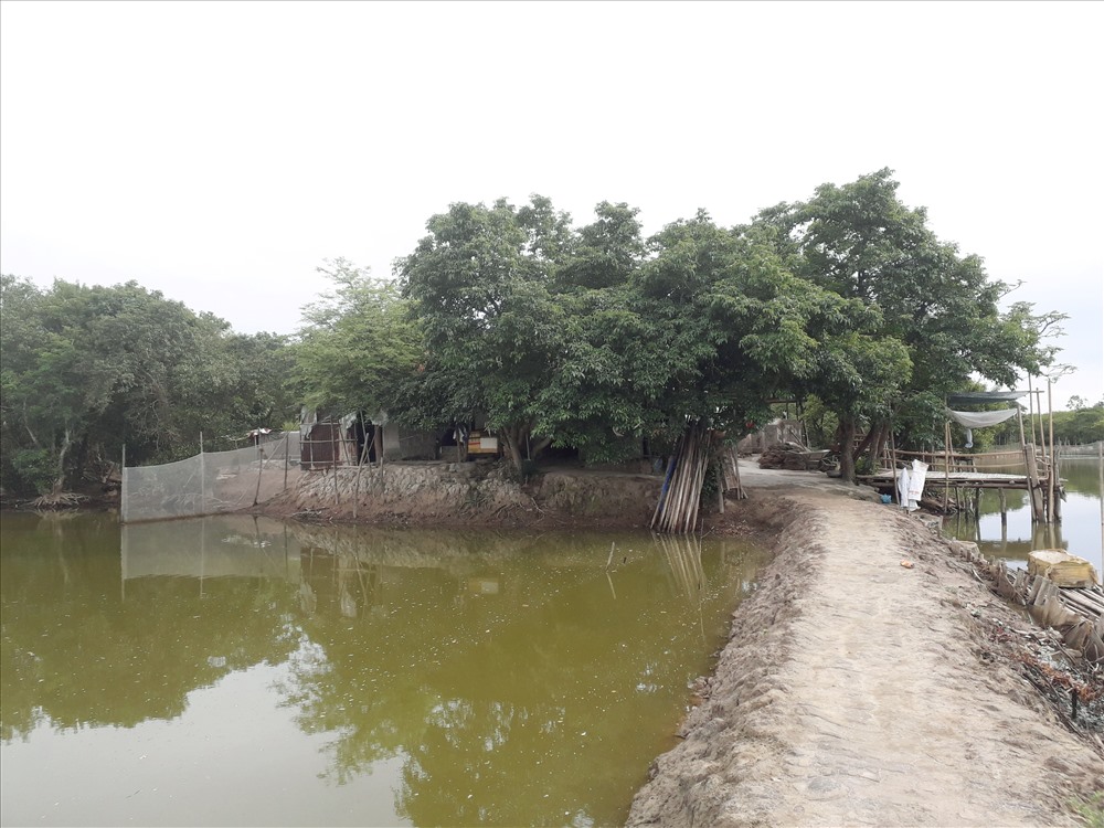 Ngôi nhà duy nhất trong Rú Chá của hai vợ chồng Mệ Hồng mà người ta vẫn gọi vui là “hai vợ chồng canh giữ Rú Cháy” hơn 32 năm.