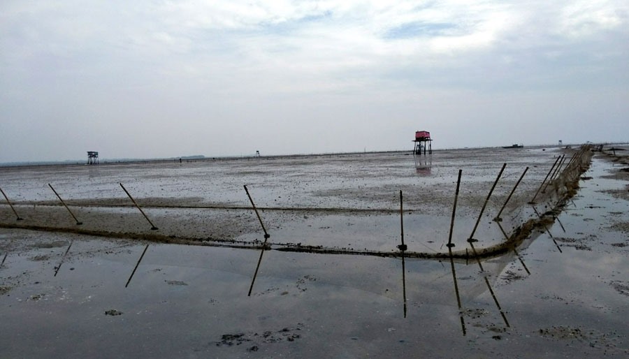 Cả trăm héc - ta bãi triều tại xã Vĩnh Trung đã bị người dân tự ý cắm cọc, quây bãi để nuôi trồng thủy sản. Ảnh: T.N.D