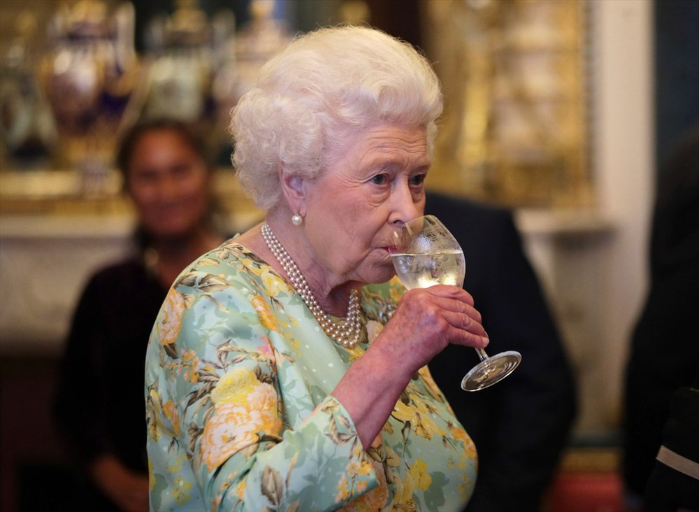 Nữ hoàng tại tiệc tiếp tân ở Cung điện Buckingham ngày 11.7.2017. Ảnh: WPA