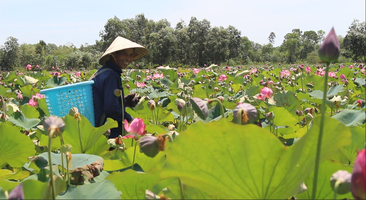 Những người dân nơi đây rất hồn hậu, sự chân chất, mộc mạc thể hiện qua nụ cười. 