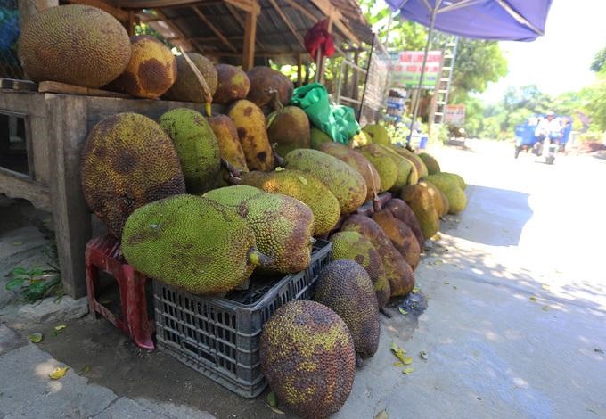 Mít chín được người dân bày bán ở hai bên quốc lộ 40B, một phần được thương lái đưa về xuôi tiêu thụ.