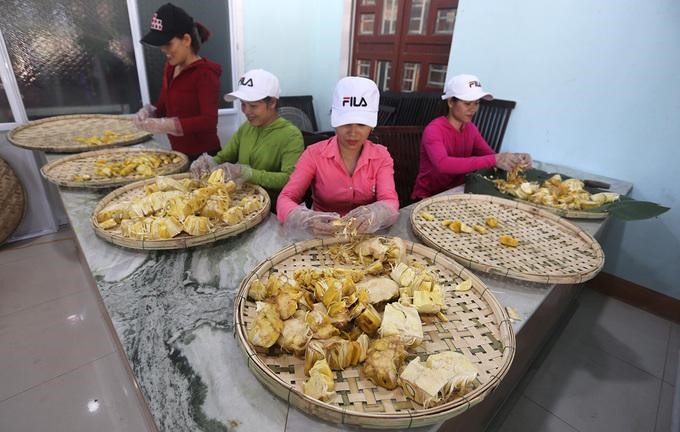 Chị Lê Thị Hồng Liên (xã Tiên Hiệp) thu mua mít về phơi khô với số lượng lớn nên thuê vài nhân công làm. “Tôi sản xuất để làm quà biếu, nếu dư thừa sẽ bán với giá 250.000 đồng một kg”, chị Liên nói và cho hay 5-7 kg múi mít tươi sẽ cho 1 kg mít khô.