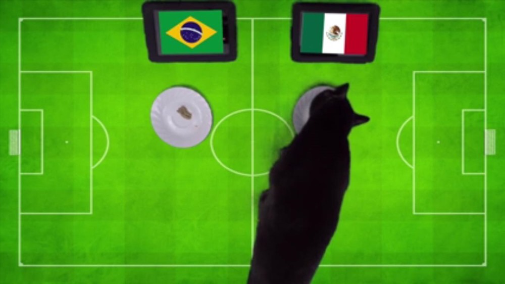 mèo Cass tiên tri dự đoán kết quả đội tuyển Mexico sẽ đánh bại đội tuyển Brazil để đi tiếp vào vòng tứ kết.