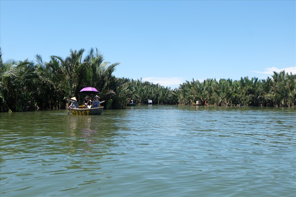 Từ phố cổ Hội An, men theo dọc bờ sông Hoài hơn 3km về phía Đông Nam, du khách sẽ đến được khu rừng dừa nước bảy mẫu thuộc thôn Bảy, xã Cẩm Thanh, TP Hội An, Quảng Nam.