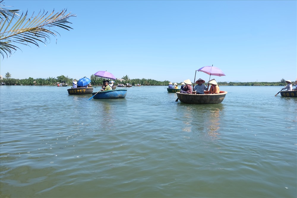 Khung cảnh thanh bình và trong xanh của rừng dừa bảy mẫu Cẩm Thanh, Hội An