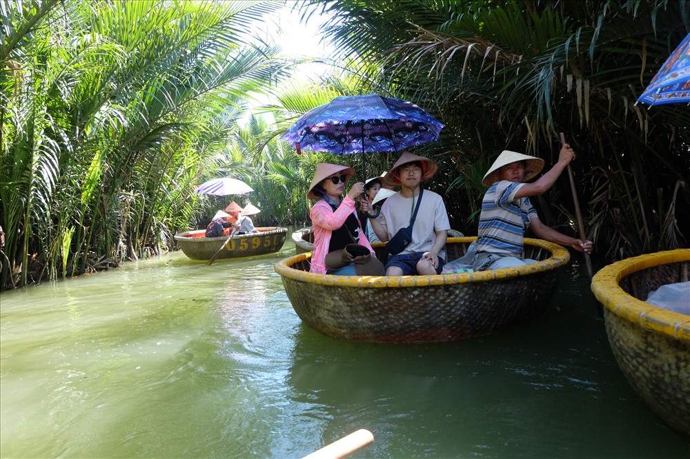Rừng dừa nước bảy mẫu rộng hàng chục hecta nằm giáp 3 con sông Đế Võng, Thu Bồn và sông Hoài ngay khu vực Cửa Đại. Là vùng nước lợ nên rất thích hợp để dừa nước phát triển. Đến đây, du khách sẽ được đưa xuống thuyền thúng để len lỏi vào trong rừng dừa.